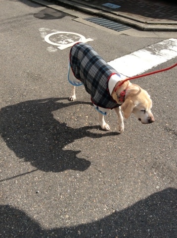 b0340046_00535615.jpeg