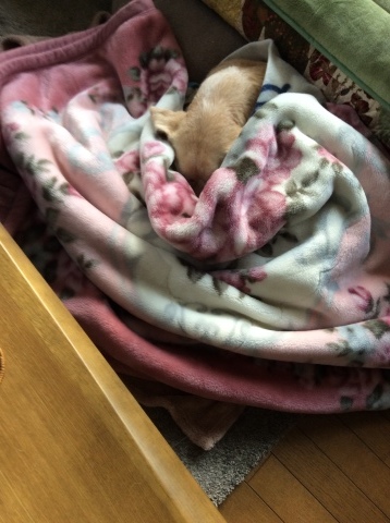 b0340046_00543907.jpeg