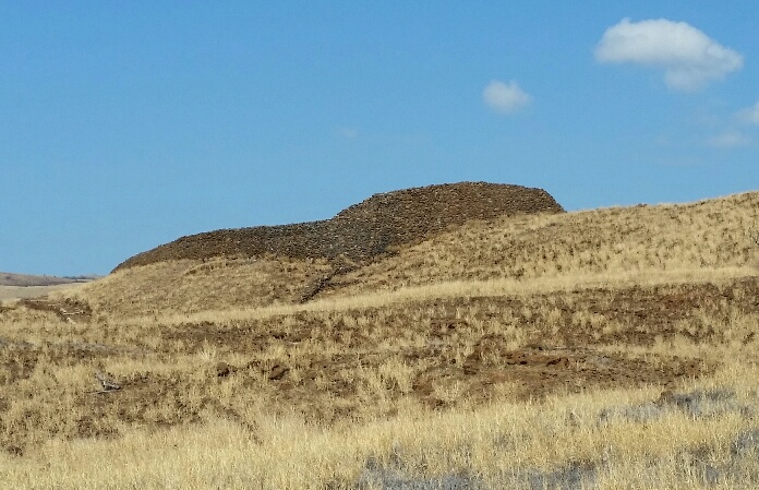 b0126453_93288.jpg