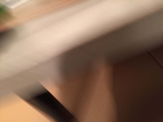 d0162966_2192713.jpg