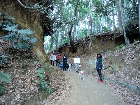 e0023790_20561501.jpg