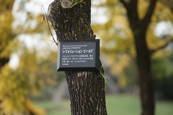 e0209997_2381637.jpg