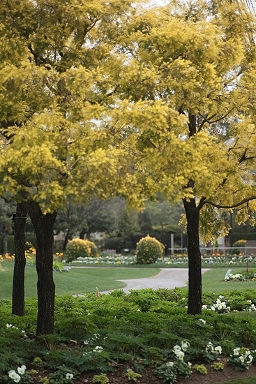e0209997_238733.jpg