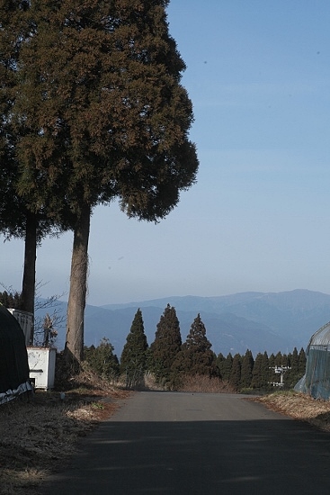 e0209997_2393055.jpg
