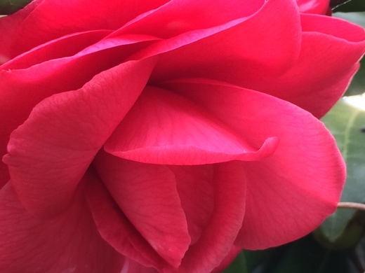 f0201297_07102006.jpg