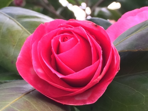 f0201297_08075622.jpg