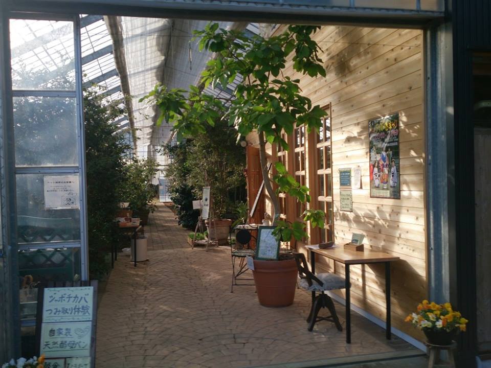 b0028299_22185852.jpg