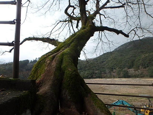 c0183137_2150281.jpg