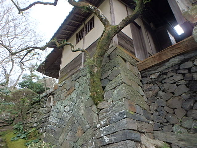 c0183137_2151564.jpg