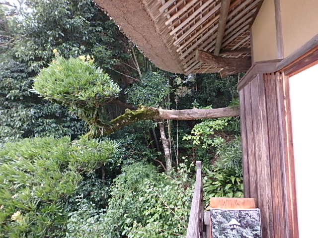 c0183137_22195990.jpg