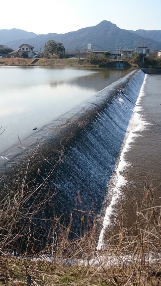 c0185445_23131108.jpg