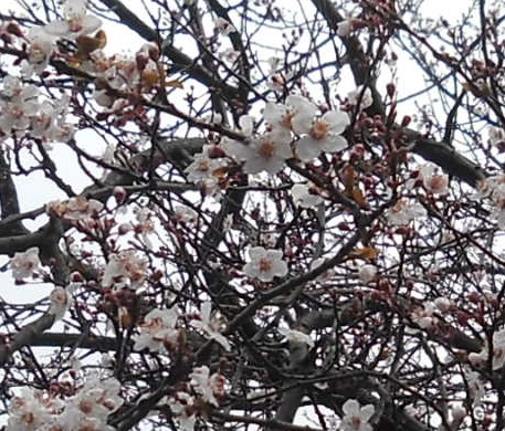 c0086649_232278.jpg
