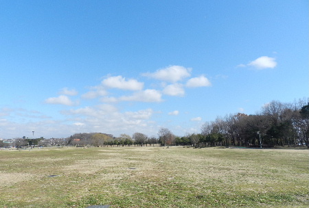 e0172950_20343970.jpg