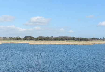 e0172950_2036854.jpg