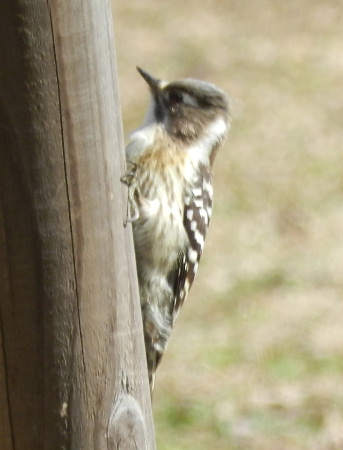 e0172950_2043339.jpg