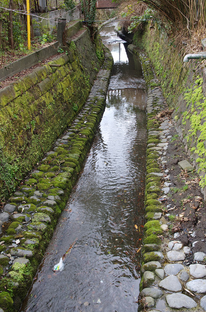 c0080357_18325867.jpg