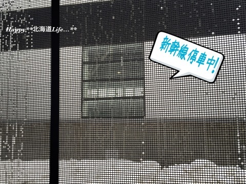 a0337860_10552226.jpeg
