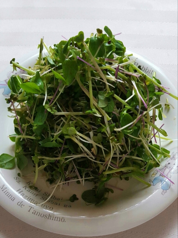 e0192971_01550271.jpg