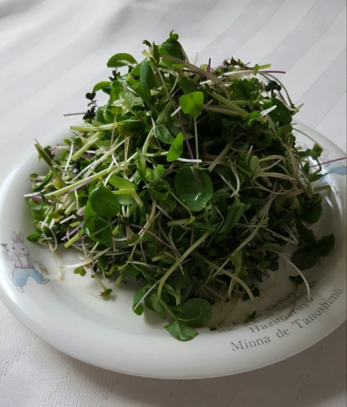e0192971_01550636.jpg