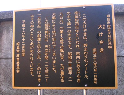 c0112172_23412518.jpg