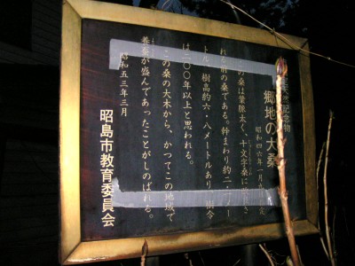c0112172_23422025.jpg