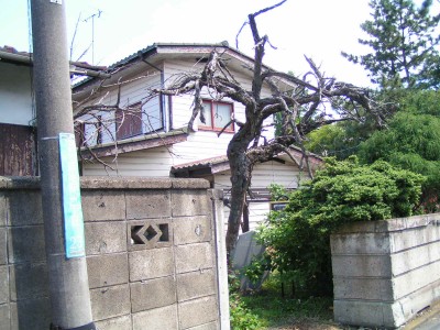 c0112172_2342989.jpg