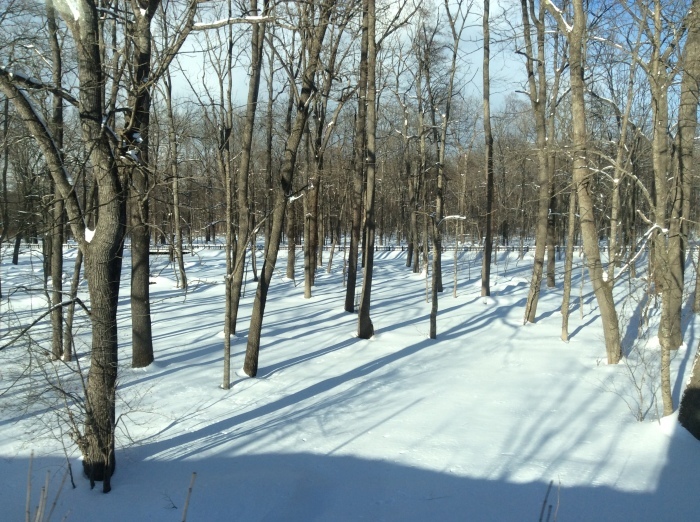 f0268294_22093256.jpeg