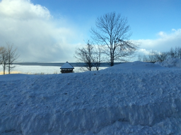 f0268294_22114679.jpeg