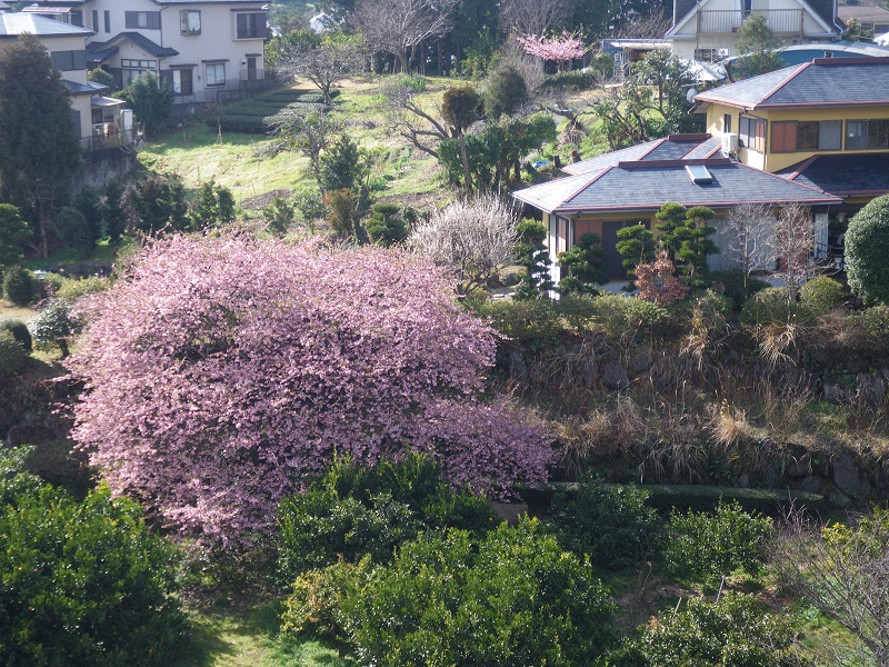 c0033636_0204181.jpg