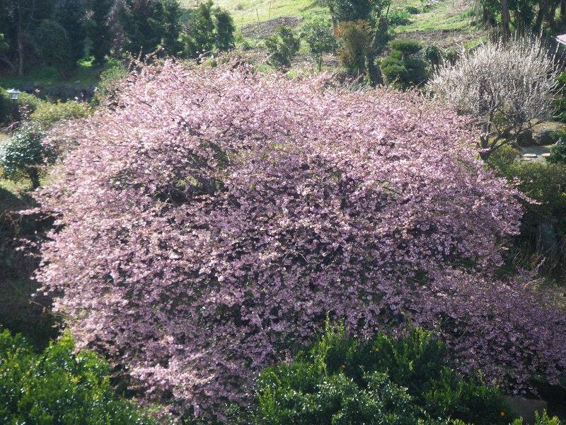 c0033636_021216.jpg