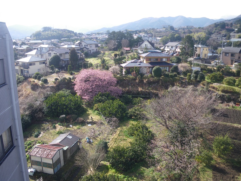 c0033636_0224651.jpg