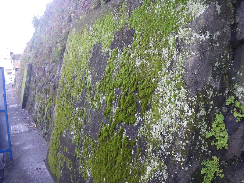 c0033636_0262197.jpg