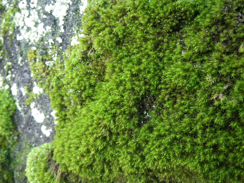 c0033636_0274037.jpg