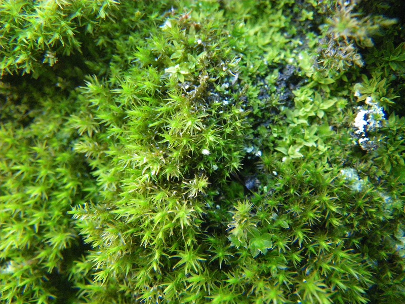c0033636_0284348.jpg