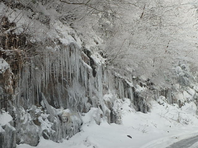 c0183137_1822059.jpg