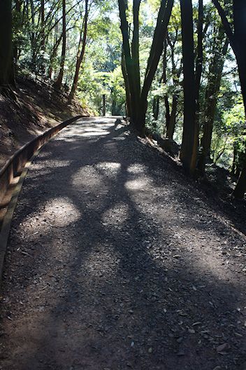 c0032138_22241195.jpg