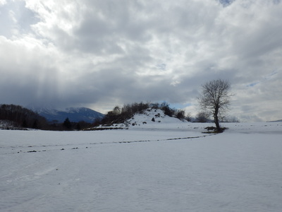 b0126549_9115774.jpg