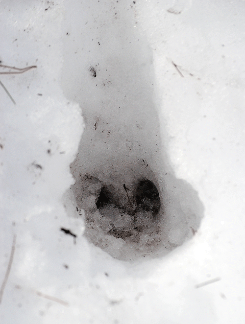 a0001354_2252205.gif