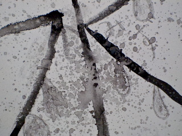 a0199297_2004750.jpg