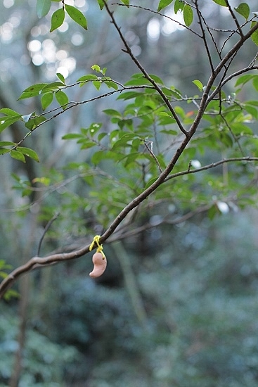 e0209997_21511216.jpg