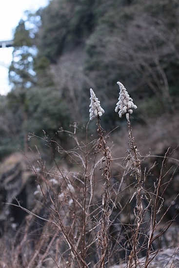 e0209997_21513092.jpg