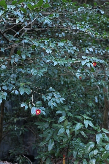 e0209997_2151383.jpg