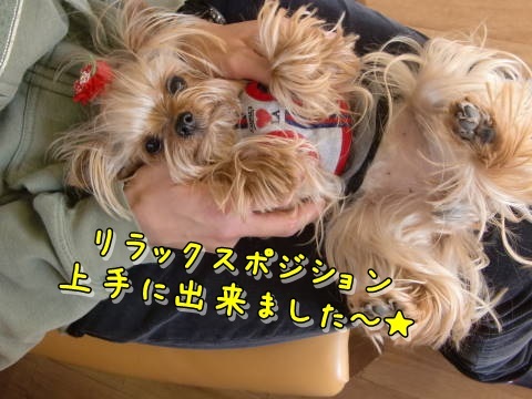 a0338800_14501409.jpg