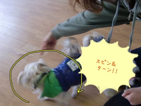 a0338800_14571116.jpg