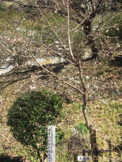 e0245404_2135497.jpg