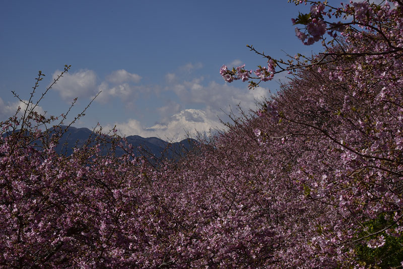 b0042837_17594162.jpg