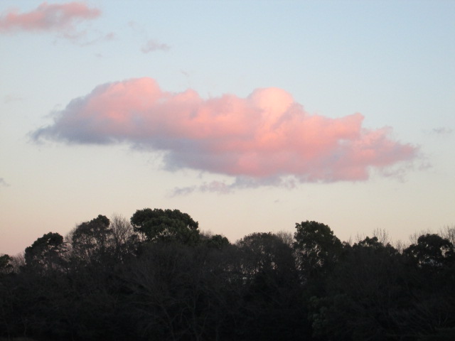 e0073548_23172436.jpg