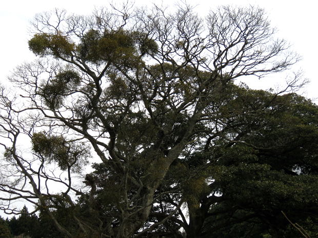 f0214649_17525712.jpg