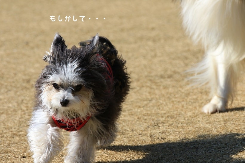 c0145250_09342515.jpg