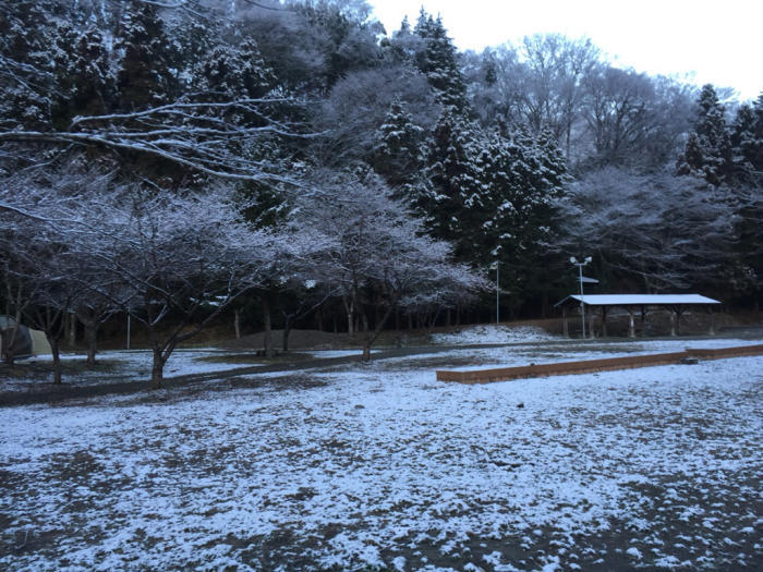 f0096666_06091181.jpg